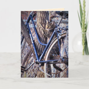 Cat in Tree with Bicycle Cute Funny Cats Card