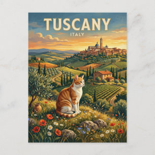 Cat in Tuscany Italy Postcard