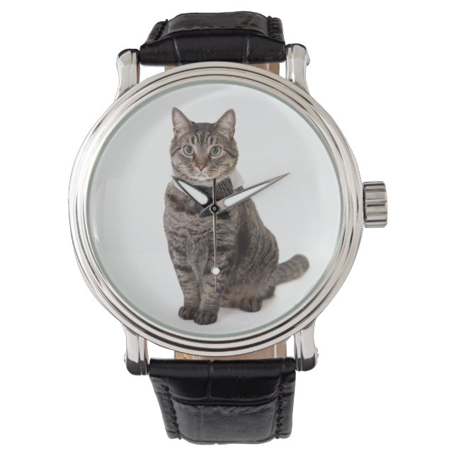 Cat in Tuxedo Watch (Front)