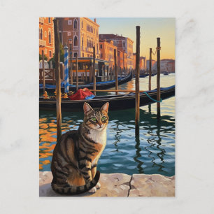Cat in Venice Italy Travel Postcard