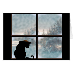 cat in window