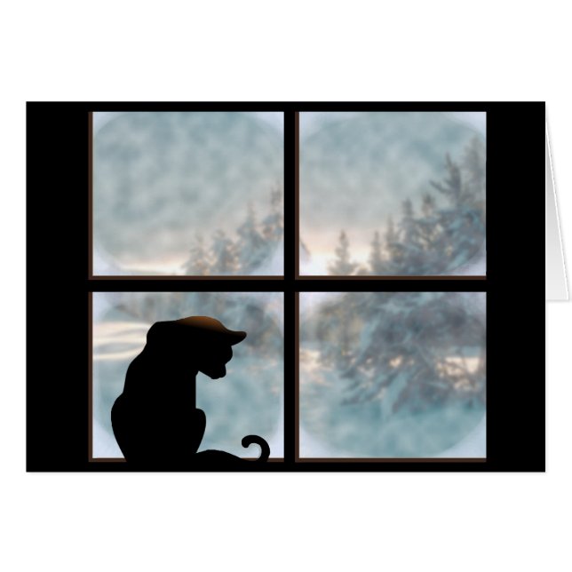cat in window (Front Horizontal)