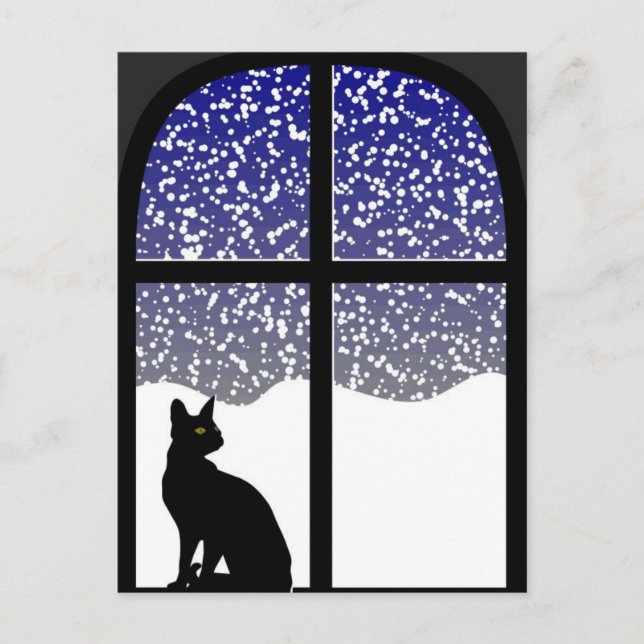 Cat in window in winter postcard (Front)