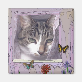 Cat in Window Magnet