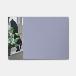 Cat in Window Post-it® Notes 4 x 3