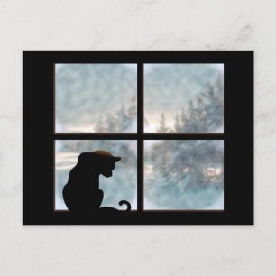 cat in window postcard