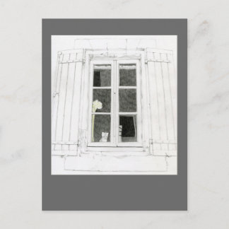 Cat in Window Postcard