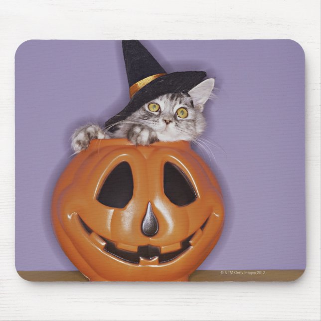 Cat in witch hat inside pumpkin mouse mat (Front)