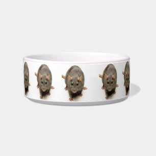 CAT INTMIDATER BOWL
