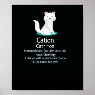 cat ion pawsitive charge poster