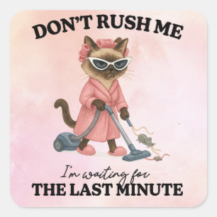 Cat is cleaning house square sticker