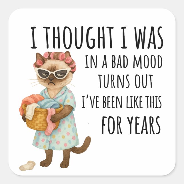 Cat is going to laundry square sticker (Front)