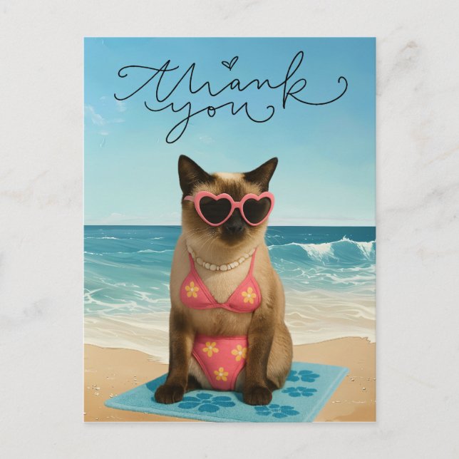 Cat is on the beach postcard (Front)