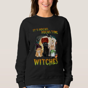 Cat Its Hocus Pocus Time Witches Halloween Design Sweatshirt