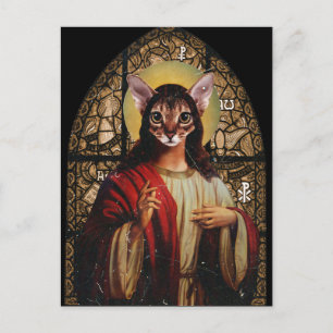 Cat Jesus Postcard