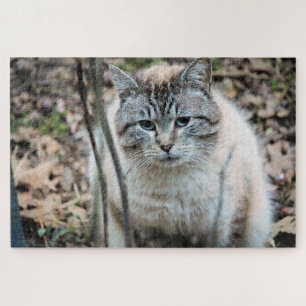Cat Jigsaw Puzzle