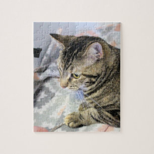 Cat Jigsaw Puzzle