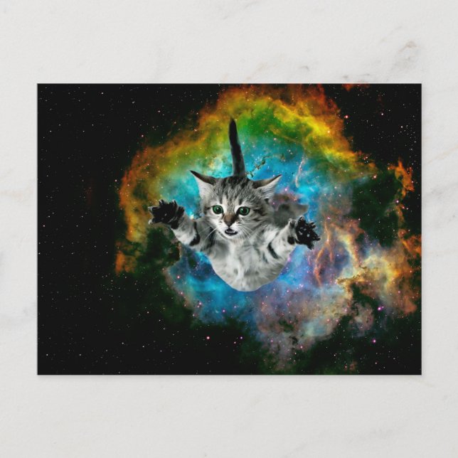 Cat jumping in space postcard (Front)