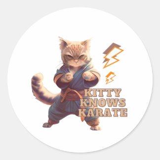 Cat Karate Theme Funny Caption Design Classic Round Sticker