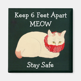 Cat Keeping 6 Feet Apart Magnet