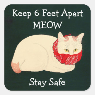 Cat Keeping 6 Feet Apart Square Sticker