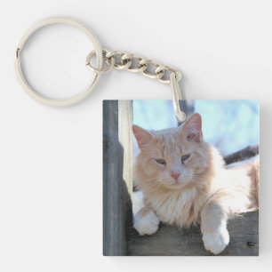 Cat Key Ring