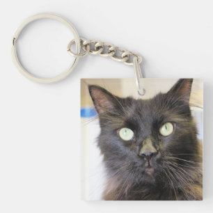 Cat key ring