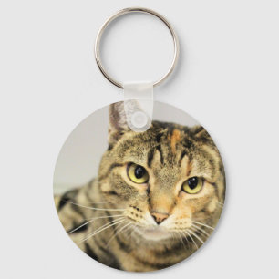 Cat key ring
