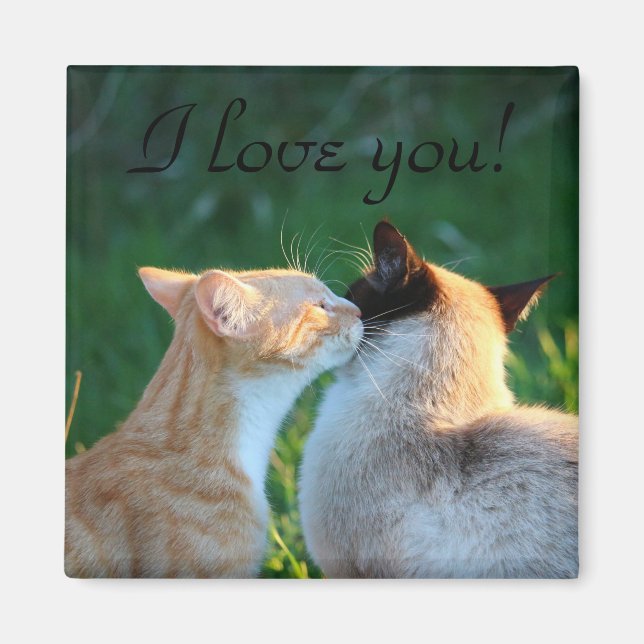 Cat kiss cat lovers magnet (Front)