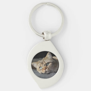 Cat, Kitten, British shorthair Key Ring