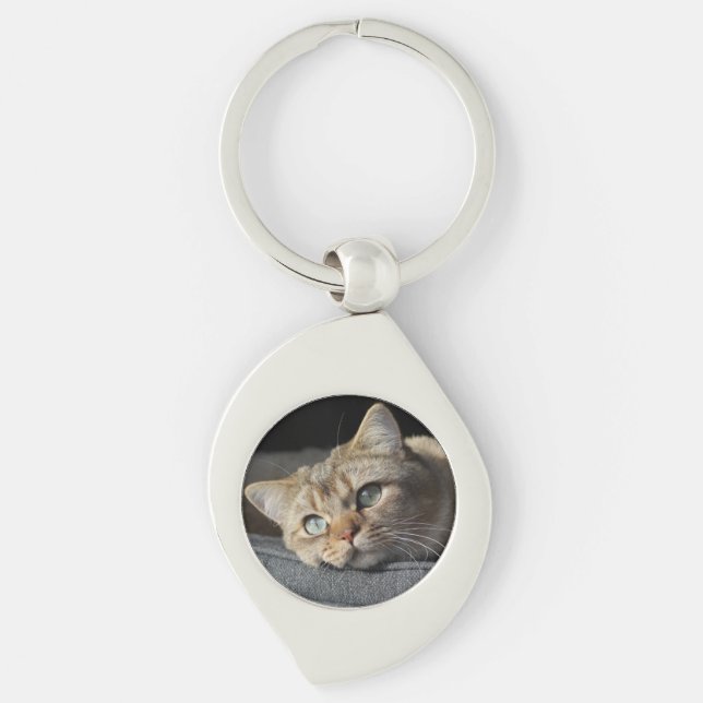 Cat, Kitten, British shorthair Key Ring (Front)