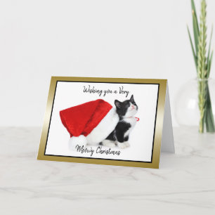 Cat Kitten Christmas Have a Meowy  Christmas Holiday Card