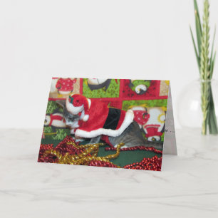 Cat, Kitten, Christmas, Rescue, Photo Holiday Card