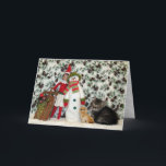 Cat, Kitten, Christmas, Rescue, Photo Holiday Card<br><div class="desc">This tired little kitten worked hard all day today posing for photographs so he could help spread Christmas cheer!</div>