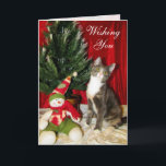Cat, Kitten, Christmas, Rescue, Photo Holiday Card<br><div class="desc">Princess Tiana is a sweet and loving rescue kitty who is looking for her Forever Home in Orlando, Florida. She has the softest fur you'd ever want to feel. She's sweet and playful. The Artist Commission for the sale of all Cats Eye View Gifts is being donated to a local...</div>