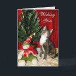 Cat, Kitten, Christmas, Rescue, Photo Holiday Card<br><div class="desc">Princess Tiana is a sweet and loving rescue kitty who is looking for her Forever Home in Orlando, Florida. She has the softest fur you'd ever want to feel. She's sweet and playful. The Artist Commission for the sale of all Cats Eye View Gifts is being donated to a local...</div>