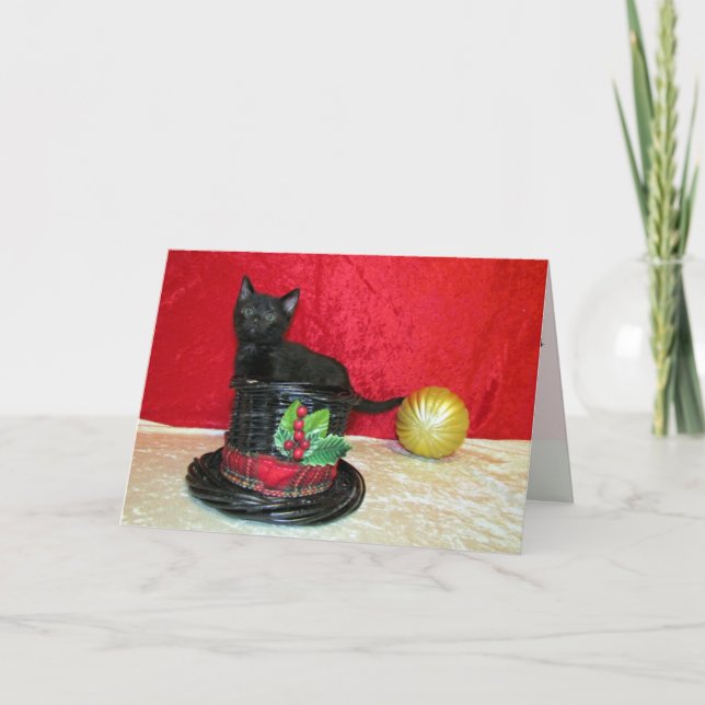 Cat, Kitten, Christmas, Rescue, Photo Holiday Card (Front)