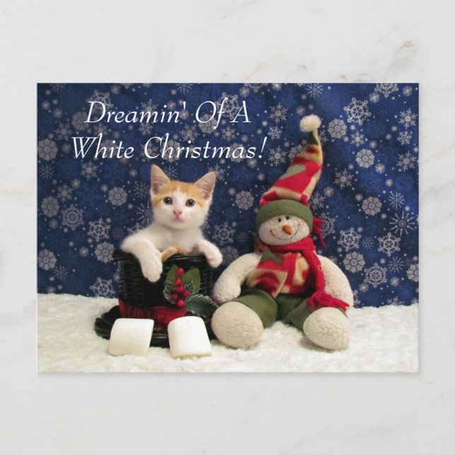 Cat, Kitten, Christmas, Rescue, Photo Holiday Postcard (Front)