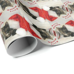 Cat, Kitten, Christmas, Rescue, Photo Wrapping Paper