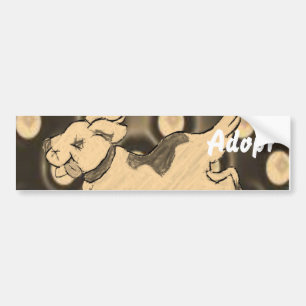 Cat Kitten Dog Adopt Bumper Sticker