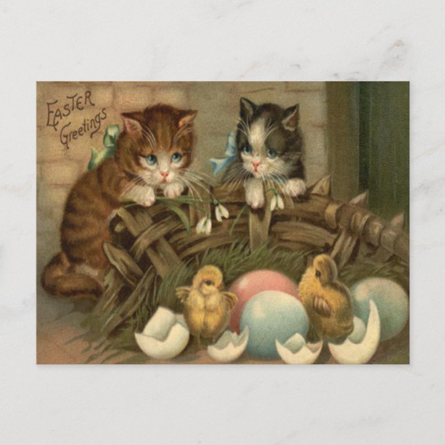 Cat Kitten Easter Colored Painted Egg Chick Holiday Postcard (Front)