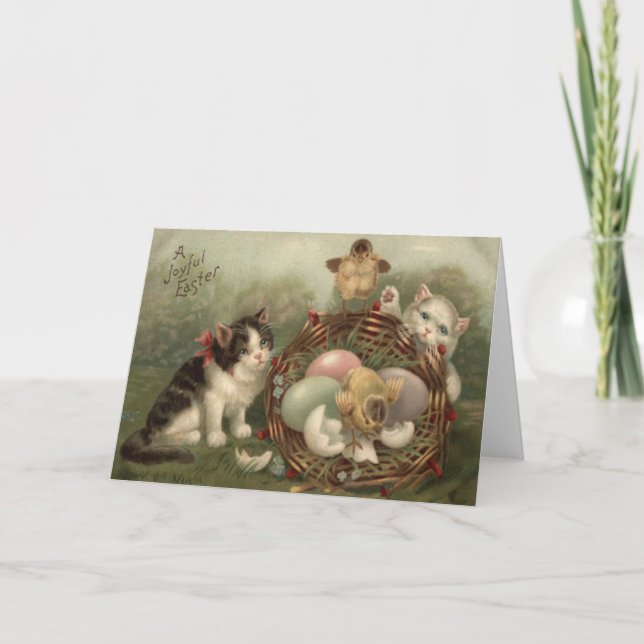 Cat Kitten Easter Coloured Painted Egg Chick Holiday Card (Front)