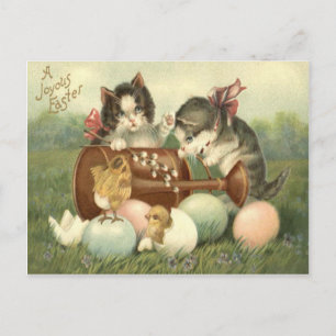 Cat Kitten Easter Coloured Painted Egg Chick Holiday Postcard