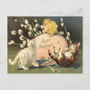 Cat Kitten Easter Coloured Painted Egg Chick Holiday Postcard