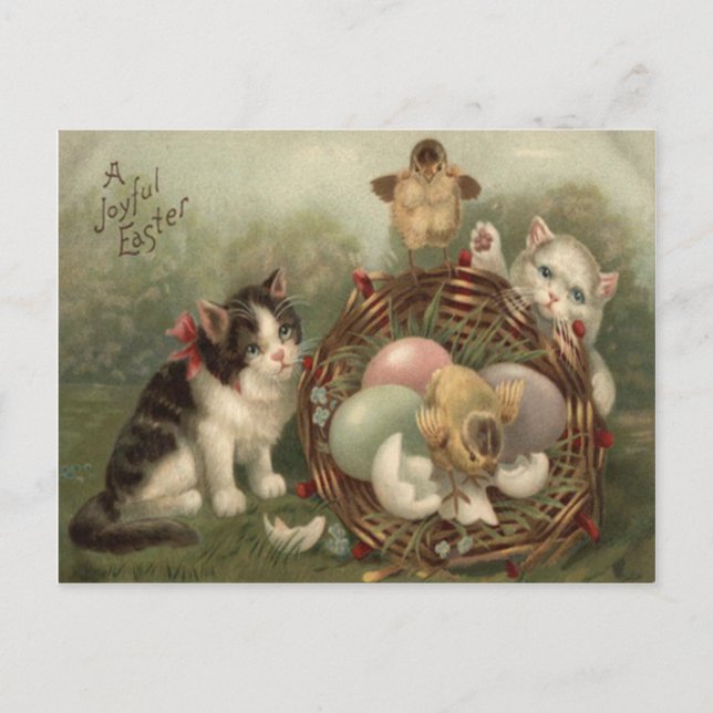 Cat Kitten Easter Coloured Painted Egg Chick Holiday Postcard (Front)