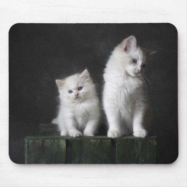 cat, kitten, feline mouse mat (Front)