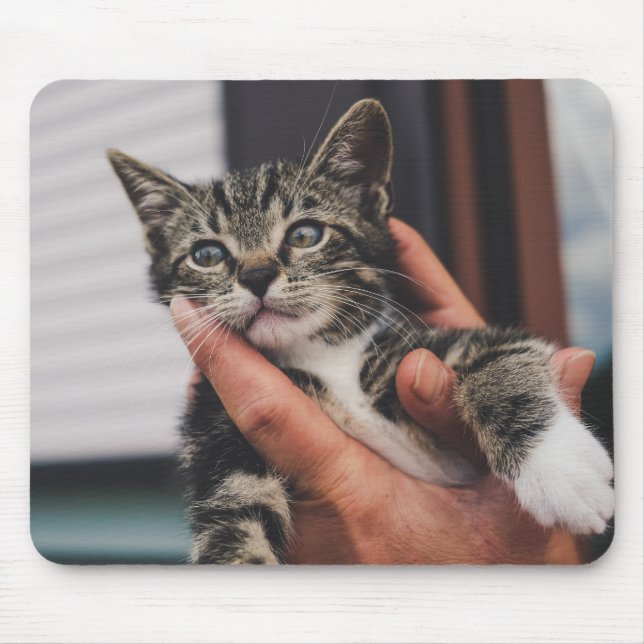 cat, kitten, hand mouse mat (Front)