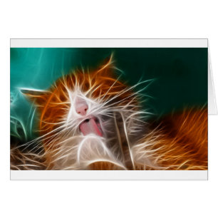 cat kitten kitties cute pet purr meow