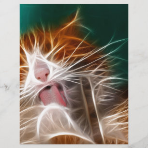 cat kitten kitties cute pet purr meow