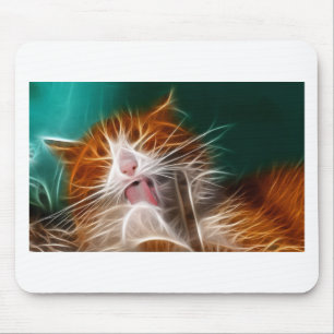 cat kitten kitties cute pet purr meow mouse mat